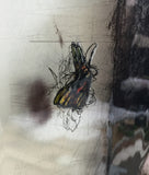 Emerging Patterns 2.5D (butterfly detail) ©Brent Holland 2016