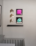 Pink Brownie (top) Laker (bottom) ©2016 Brent Holland www.studiohollandart.com
