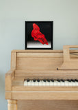 Red Right ©2016 Brent Holland www.studiohollandart.com