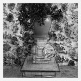 Studio Jade, framed c-print