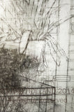 Studio Plants I - framed 48"x48"